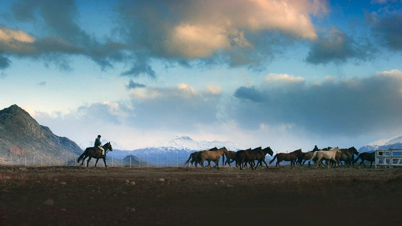 El Calafate - Estancia Cristina