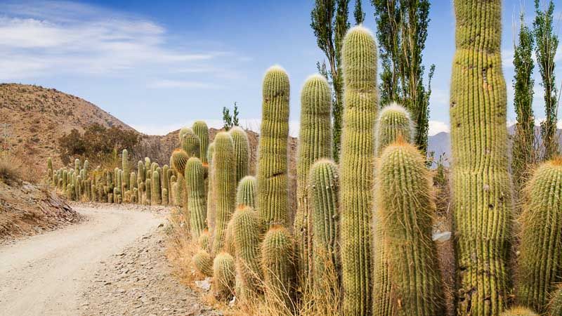 Salta - Camino a Cachi