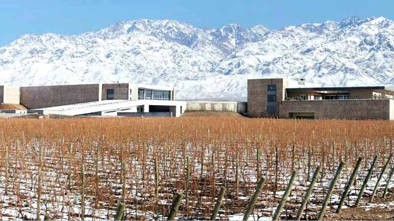 Mendoza - Bodega Diamandes