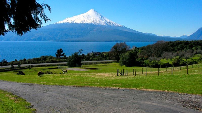 Puerto Varas - El Bosque